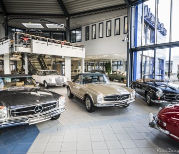 ROSIER Classic Sterne