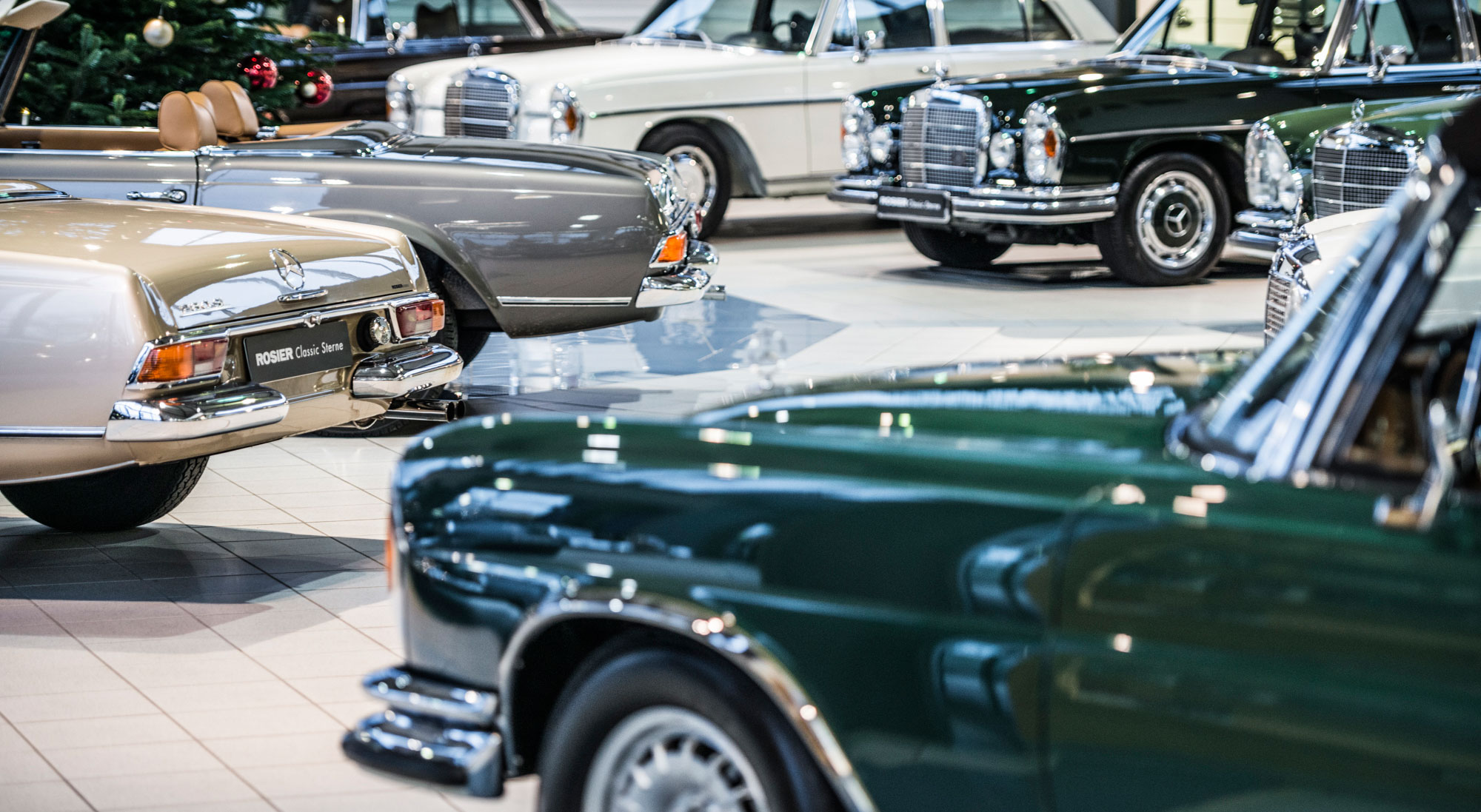 ROSIER Classic Sterne